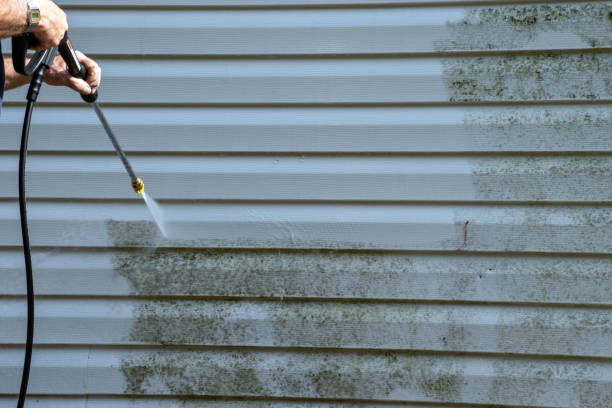 Best Custom Trim and Detailing for Siding  in Anniston, AL